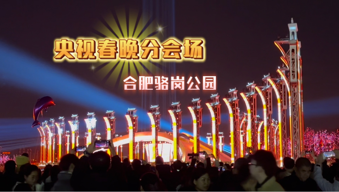 春晚合肥分会场那 16 架飞行器,问题出在哪一步(图2)