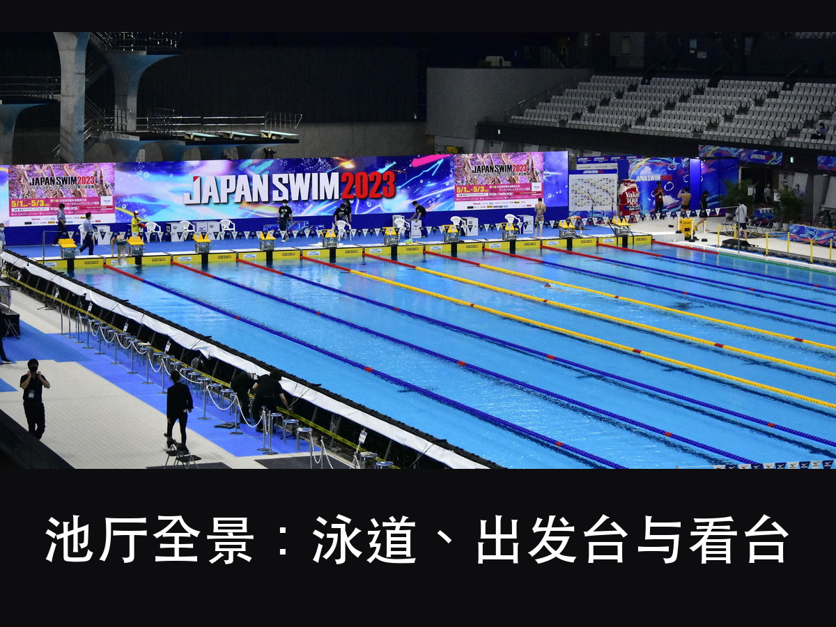 体育场馆照明怎么防眩？2500 lx 的泳池，问题出在入射角（图3）